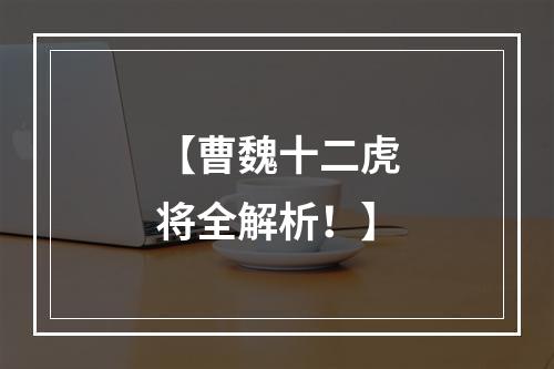 【曹魏十二虎将全解析！】