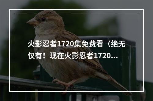 火影忍者1720集免费看（绝无仅有！现在火影忍者1720集免费看啦！）