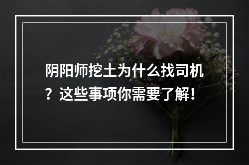 阴阳师挖土为什么找司机？这些事项你需要了解！