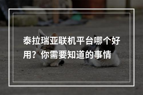 泰拉瑞亚联机平台哪个好用？你需要知道的事情