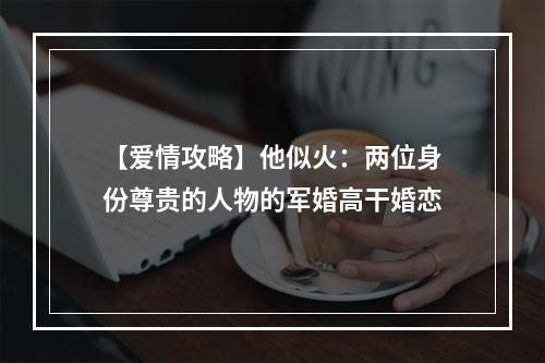 【爱情攻略】他似火：两位身份尊贵的人物的军婚高干婚恋