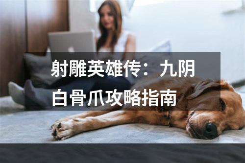 射雕英雄传：九阴白骨爪攻略指南