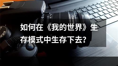 如何在《我的世界》生存模式中生存下去？