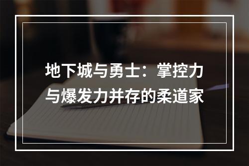 地下城与勇士：掌控力与爆发力并存的柔道家