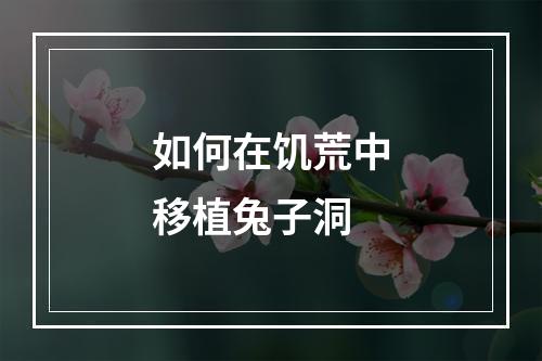 如何在饥荒中移植兔子洞