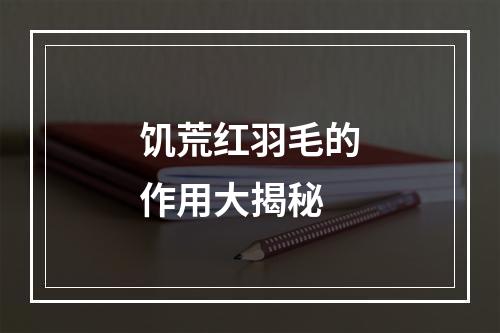 饥荒红羽毛的作用大揭秘