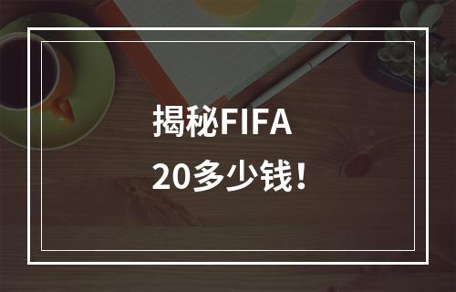 揭秘FIFA20多少钱！