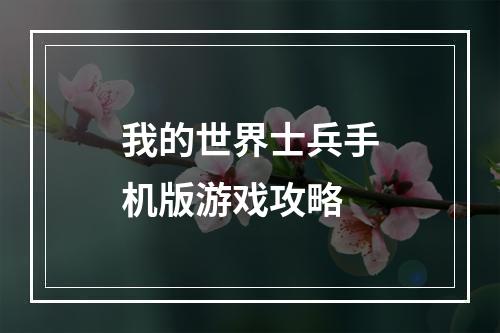 我的世界士兵手机版游戏攻略