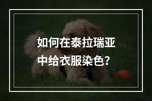 如何在泰拉瑞亚中给衣服染色？