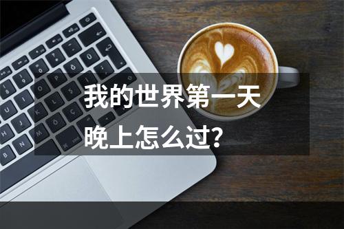 我的世界第一天晚上怎么过？