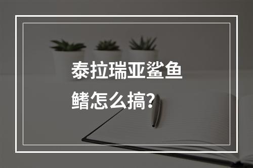 泰拉瑞亚鲨鱼鳍怎么搞？