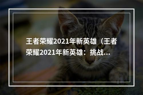 王者荣耀2021年新英雄（王者荣耀2021年新英雄：挑战王者之路）