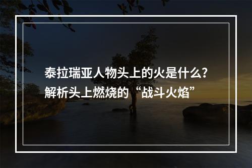 泰拉瑞亚人物头上的火是什么？解析头上燃烧的“战斗火焰”