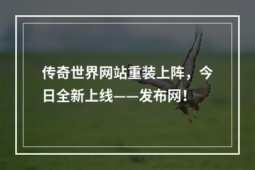 传奇世界网站重装上阵，今日全新上线——发布网！