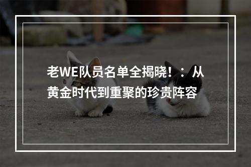 老WE队员名单全揭晓！：从黄金时代到重聚的珍贵阵容