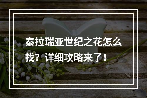 泰拉瑞亚世纪之花怎么找？详细攻略来了！