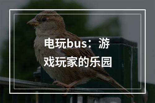 电玩bus：游戏玩家的乐园