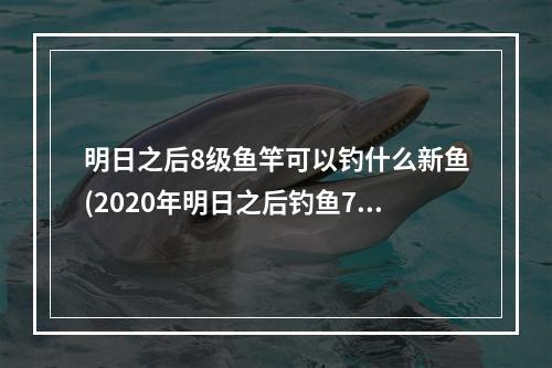 明日之后8级鱼竿可以钓什么新鱼(2020年明日之后钓鱼7级升8级)