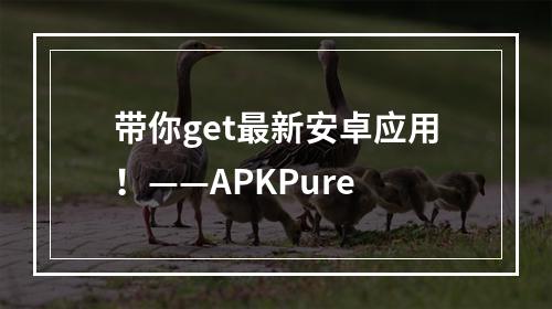 带你get最新安卓应用！——APKPure