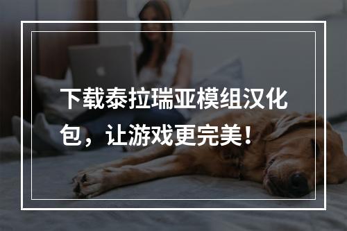 下载泰拉瑞亚模组汉化包，让游戏更完美！