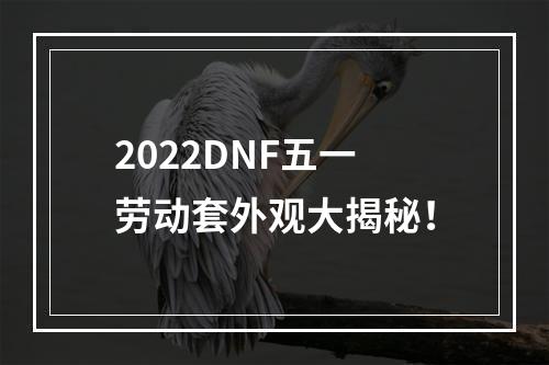 2022DNF五一劳动套外观大揭秘！