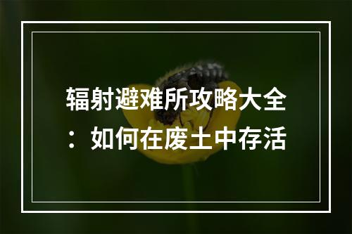 辐射避难所攻略大全：如何在废土中存活