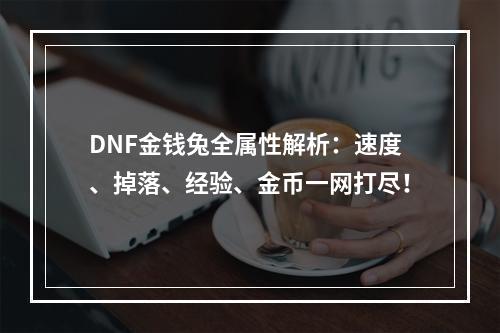 DNF金钱兔全属性解析：速度、掉落、经验、金币一网打尽！