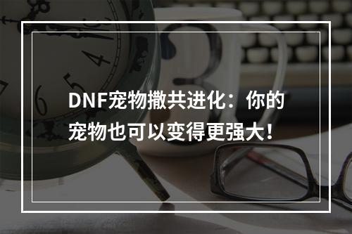 DNF宠物撒共进化：你的宠物也可以变得更强大！