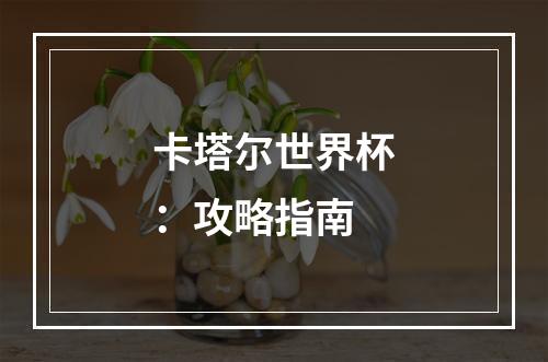 卡塔尔世界杯：攻略指南