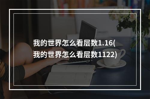 我的世界怎么看层数1.16(我的世界怎么看层数1122)