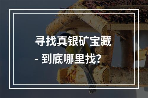 寻找真银矿宝藏 - 到底哪里找？