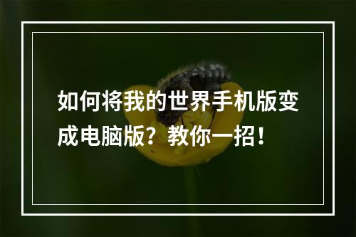 如何将我的世界手机版变成电脑版？教你一招！