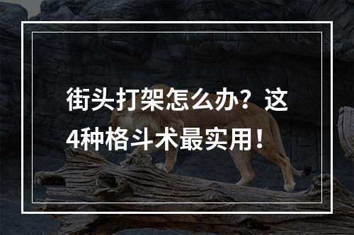 街头打架怎么办？这4种格斗术最实用！