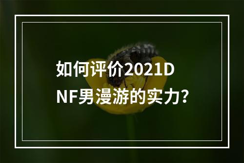 如何评价2021DNF男漫游的实力？