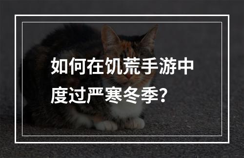 如何在饥荒手游中度过严寒冬季？