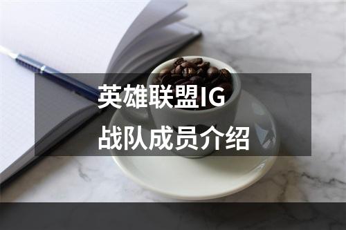 英雄联盟IG战队成员介绍