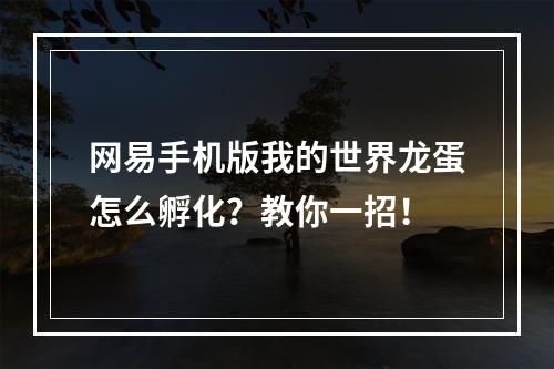 网易手机版我的世界龙蛋怎么孵化？教你一招！