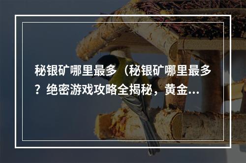 秘银矿哪里最多（秘银矿哪里最多？绝密游戏攻略全揭秘，黄金地带藏富矿等你来挖掘）