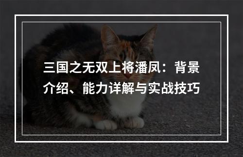 三国之无双上将潘凤：背景介绍、能力详解与实战技巧