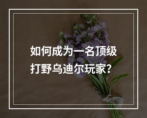 如何成为一名顶级打野乌迪尔玩家？