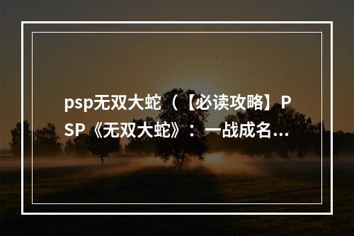 psp无双大蛇（【必读攻略】PSP《无双大蛇》：一战成名的神兵利器！）