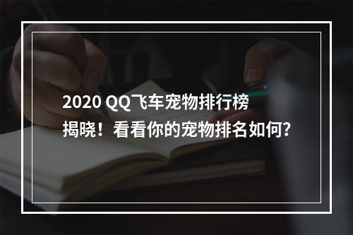 2020 QQ飞车宠物排行榜揭晓！看看你的宠物排名如何？