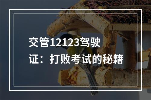 交管12123驾驶证：打败考试的秘籍