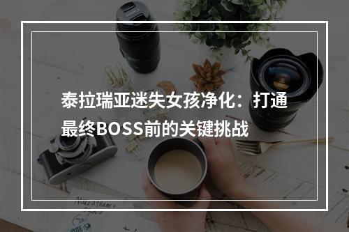 泰拉瑞亚迷失女孩净化：打通最终BOSS前的关键挑战