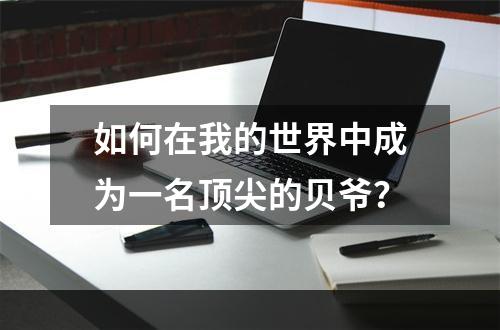 如何在我的世界中成为一名顶尖的贝爷？