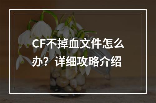 CF不掉血文件怎么办？详细攻略介绍