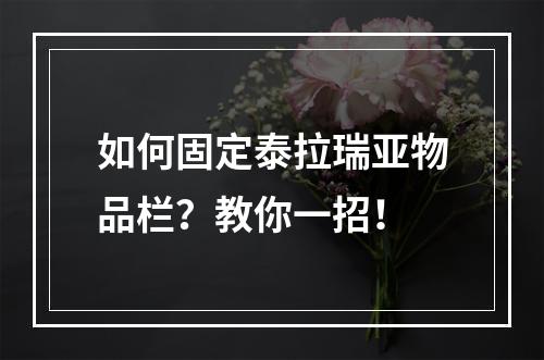 如何固定泰拉瑞亚物品栏？教你一招！