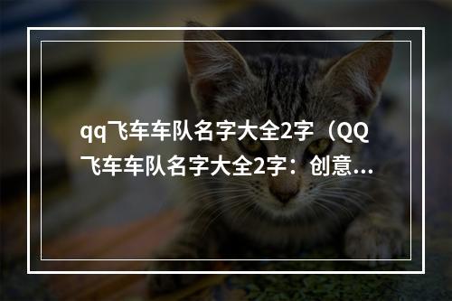 qq飞车车队名字大全2字（QQ飞车车队名字大全2字：创意备受追捧）