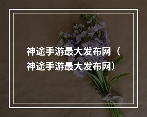 神途手游最大发布网（神途手游最大发布网）