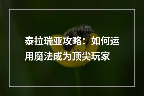 泰拉瑞亚攻略：如何运用魔法成为顶尖玩家